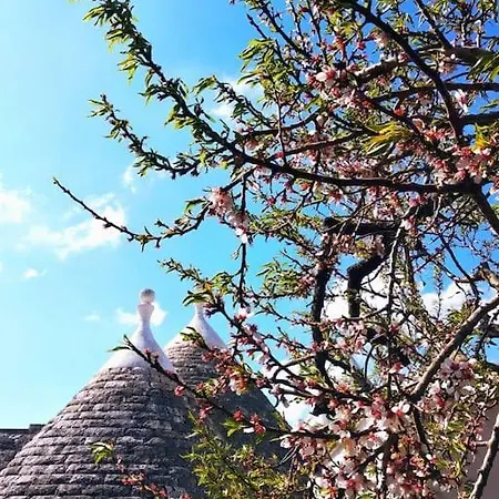 Trullo With Swimming Pool. Charme&relax Holiday home